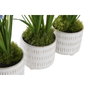 DKD Home Decor Planta Rosa Azul 15 x 30 x 15 cm (3 Unidades)