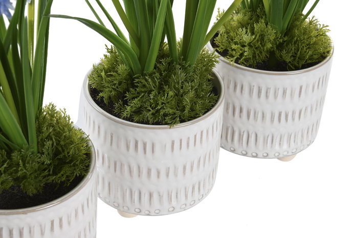 DKD Home Decor Planta Rosa Azul 15 x 30 x 15 cm (3 Unidades)