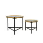 DKD Home Decor Set de 2 Mesitas Auxiliares de Cristal y Metal