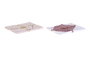DKD Home Decor Set de 5 Manteles PIXEL LOVE 150x150 cm Rosa y Blanco