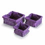 Versa Set 3 Cestas Cuadradas de Algodón Violeta 26x12 cm