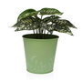 Maceta Versa Zink Verde Metal (14 cm)