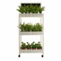 Ibergarden Carro de Madera con 3 Estantes y Pizarra Blanco