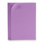 PINCELLO Juego 10 láminas de goma eva violeta 20x30 cm