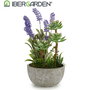IBERGARDEN Planta Artificial Lavanda Maceta Cemento Gris Morado Verde 31x23x16 cm (Set de 8)