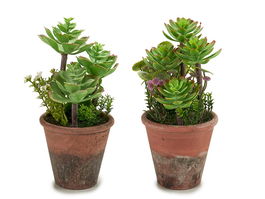 IBERGARDEN Maceta Envejecida Mediana Surtidos Mod 16x23x16cm Plástico (Set de 12)