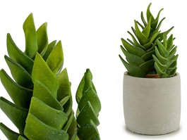 Ibergarden Cactus Plastico Echeveria 25 cm (Ancho 12 cm, Alto 24 cm, Largo 12 cm) (Set de 6)