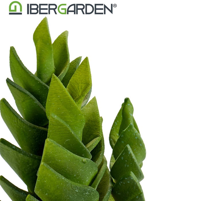 Ibergarden Cactus Plastico Echeveria 25 cm (Ancho 12 cm, Alto 24 cm, Largo 12 cm) (Set de 6)