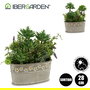 Ibergarden Maceta Piedra Ovalada para Plantas, Surtido 2 Colores Verde y Gris, Material Plástico y Cemento, Dimensiones 25x29x15 cm (Set de 6)