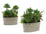Ibergarden Maceta Piedra Ovalada para Plantas, Surtido 2 Colores Verde y Gris, Material Plástico y Cemento, Dimensiones 25x29x15 cm (Set de 6)