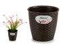 Stefanplast Maceta Natural Interior/Exterior Chocolate 14cm