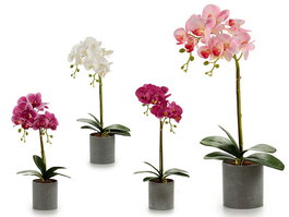 Ibergarden Orquídea Artificial de Interior con Maceta Redonda Gris, 49x23x18 cm, de Plástico, en Colores Blanco, Lila, Morado, Rosa, Incluye Maceta de 10 cm (Set de 12)