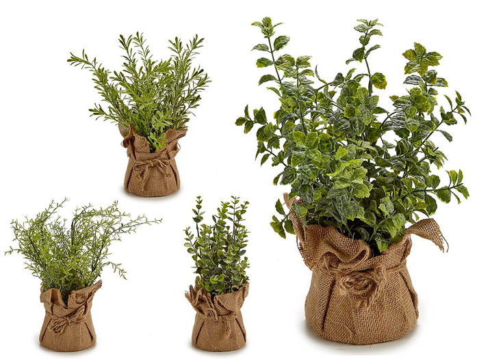 Ibergarden Planta Ramas en Saco de Plástico, Corcho y Rafia - Blanco, Surtidos (Verde, Marrón) - Maceta 11 cm - Dimensiones 12x32x12 cm (Set de 12) Ibergarden Planta Ramas en Saco de Plástico, Corcho y Rafia - Blanco, Surtidos (Verde, Marrón) - Maceta 11 cm - Dimensiones 12x32x12 cm (Set de 12)