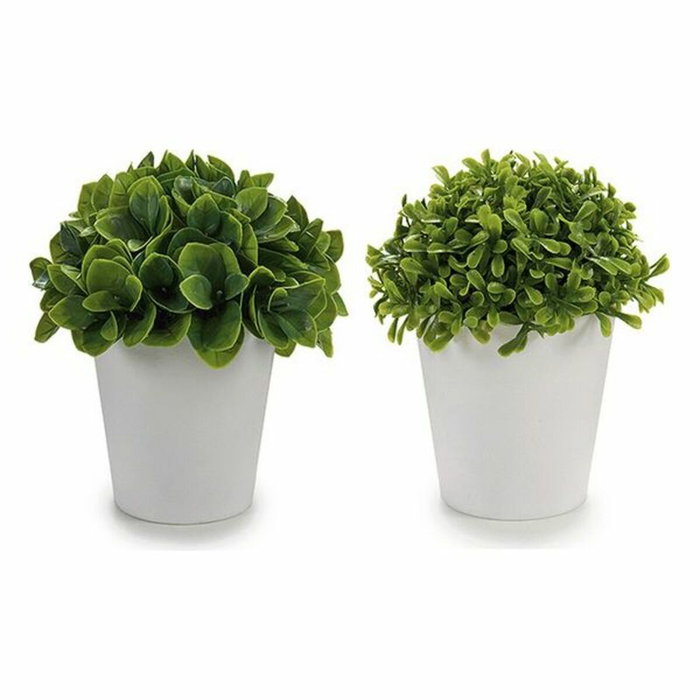 Ibergarden Maceta Blanca Hojas Cortas 2 Modelos (Pack de 24) Ibergarden Maceta Blanca Hojas Cortas 2 Modelos (Pack de 24)