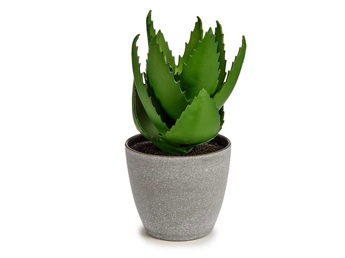 Ibergarden Maceta Planta Aloe Vera Grande 15x23.5x15 cm Verde/Gris Plástico (Set de 12)
