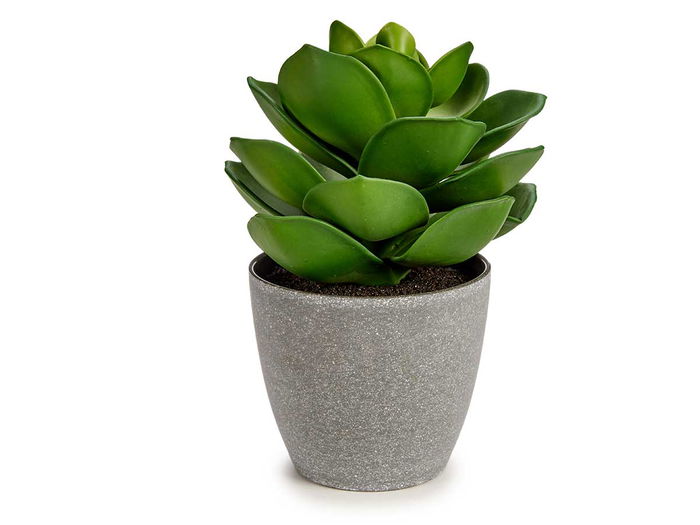 Ibergarden Maceta Planta Hoja Ancha Grande Plástico Verde/Gris 16x21x16 cm (Set de 12)