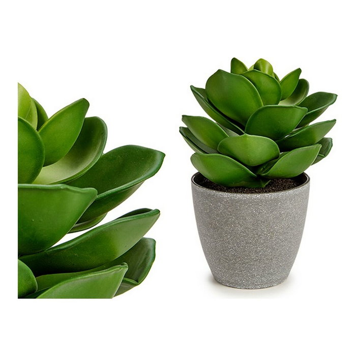 Ibergarden Maceta Planta Hoja Ancha Grande Verde-Gris Ibergarden Maceta Planta Hoja Ancha Grande Verde-Gris