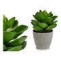 Ibergarden Maceta Planta Hoja Ancha Grande Verde-Gris