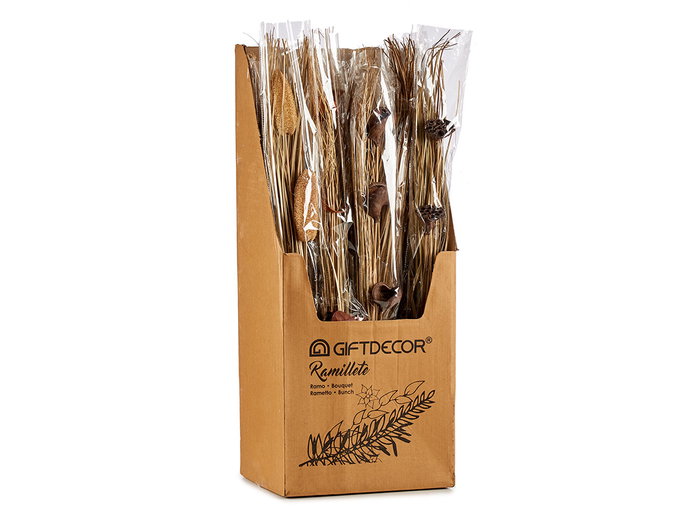 Giftdecor Ramillete Natural Surtido 100 cm - Madera (Fibra natural) - Natural (Set de 24)