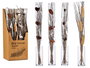 Giftdecor Ramillete Gris y Natural 100 cm Surtidos (Set de 24)