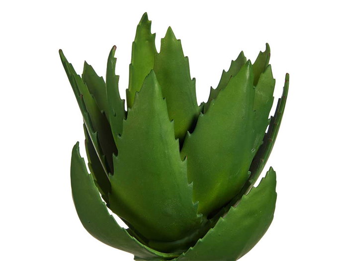 Ibergarden Planta Aloe Vera 13 x 24.5 x 14 cm Plástico Verde (Set de 18)
