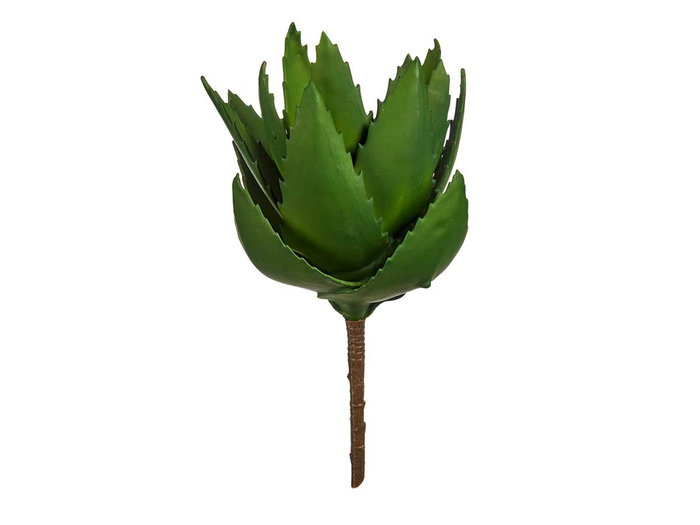 Ibergarden Planta Aloe Vera 13 x 24.5 x 14 cm Plástico Verde (Set de 18)