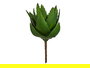 Ibergarden Planta Aloe Vera 13 x 24.5 x 14 cm Plástico Verde (Set de 18)