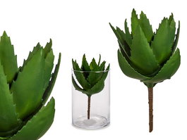 Ibergarden Planta Aloe Vera 13 x 24.5 x 14 cm Plástico Verde (Set de 18)