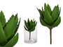 Ibergarden Planta Aloe Vera 13 x 24.5 x 14 cm Plástico Verde (Set de 18)