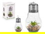 Giftdecor Bombilla Cactus Tira Led Decorativa Transparente y Verde 14x29x14 cm (Set de 8)