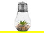 Giftdecor Bombilla Cactus Tira Led Decorativa Transparente y Verde 14x29x14 cm (Set de 8)