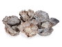 Giftdecor Bolsa Hojas Flores Natural 9 cm x 27 cm x 9 cm (Set de 12)