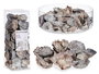 Giftdecor Bolsa Hojas Flores Natural 9 cm x 27 cm x 9 cm (Set de 12)