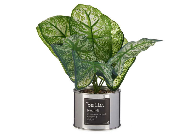 Ibergarden Planta Artificial Verde Lata Plata 26 cm x 26 cm x 26 cm (Set de 12)