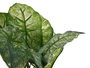 Ibergarden Planta Artificial Verde Lata Plata 26 cm x 26 cm x 26 cm (Set de 12)