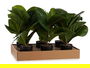 IBERGARDEN Planta Artificial Maceta Plástico Negro Verde 9.5x42x9.5 cm (Set de 12)