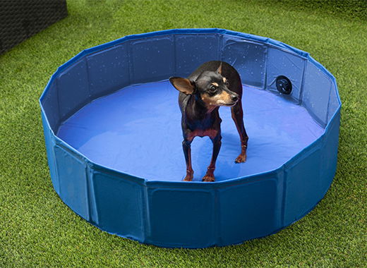 MASCOW Piscina Perro Poliester Plegable Antideslizante Azul 120x30 cm (Set de 4)