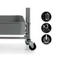 Kinvara Carro Plegable de 3 Alturas Gris