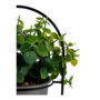 Ibergarden Planta Hoja Redonda Base Metal Gris
