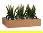 Ibergarden Cactus Artificial Maceta Cerámica Plata Verde 10 cm x 20 cm x 10 cm (Set de 12)