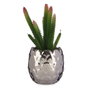 Ibergarden Cactus Artificial con Maceta de Cerámica Plata