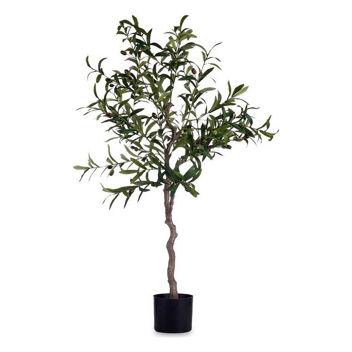 Ibergarden Planta de Olivo con Maceta 150cm