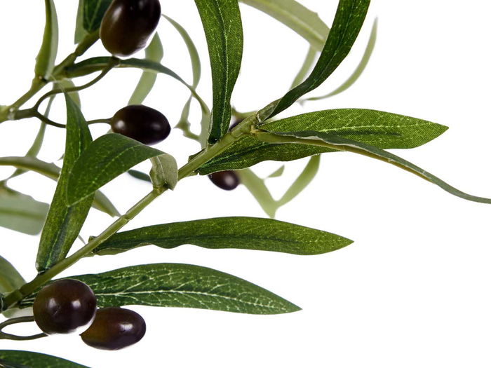 Ibergarden Planta Olivo con Maceta 150 cm (Maceta 16x16x15 cm) Plástico/Cable (Hierro) Verde