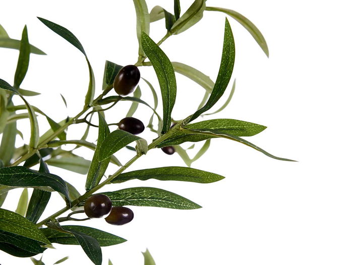 Ibergarden Planta Olivo con Maceta 150 cm (Maceta 16x16x15 cm) Plástico/Cable (Hierro) Verde