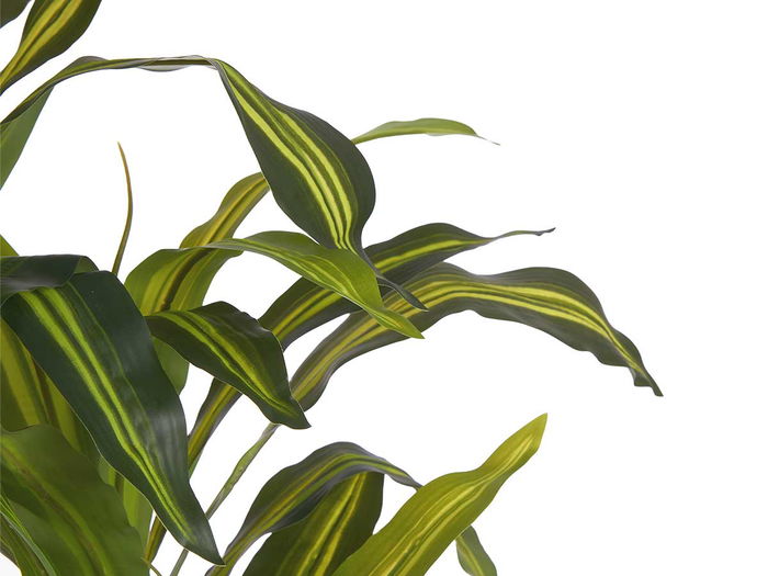 Ibergarden Planta Con Maceta Hoja Ancha Pequeña 90 cm (Alto) x 60 cm (Ancho/Largo) Plástico Verde