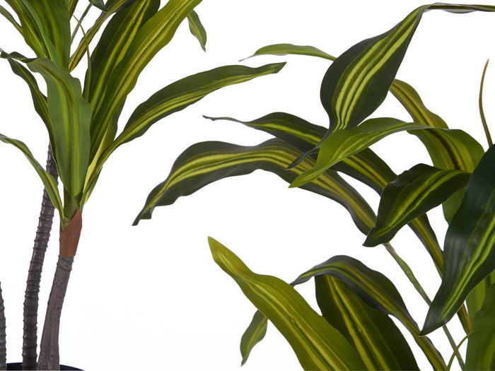 Ibergarden Planta Con Maceta Hoja Ancha Pequeña 90 cm (Alto) x 60 cm (Ancho/Largo) Plástico Verde