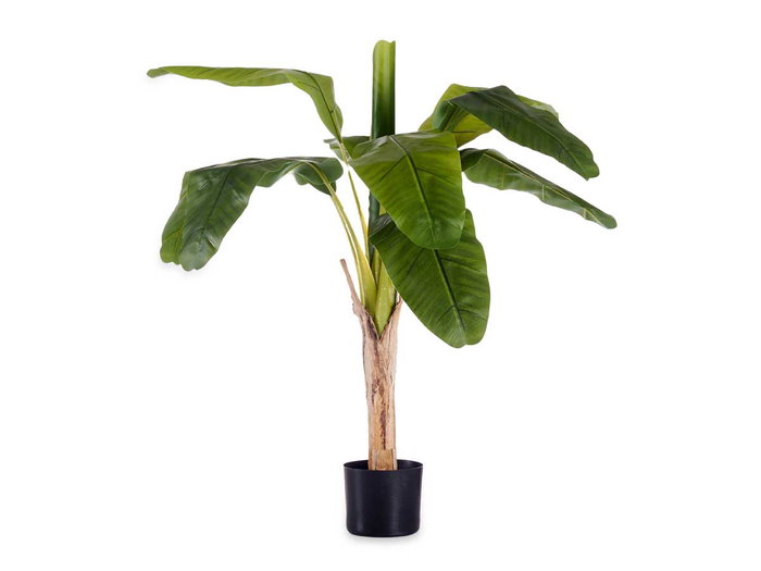 Ibergarden Planta Bananera Pequeña con Maceta 120 cm