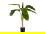 Ibergarden Planta Bananera Pequeña con Maceta 120 cm