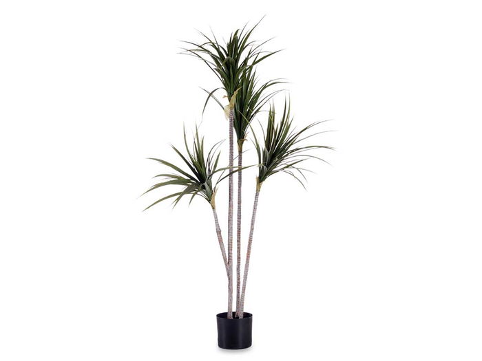 Ibergarden Planta con Maceta Hoja Estrecha Pequeña 140 cm (Al) x 80 cm (An) x 85 cm (La)