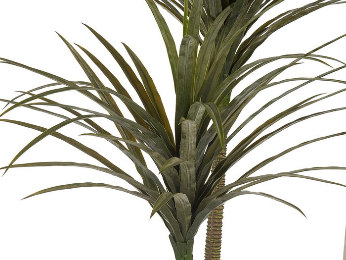 Planta con Maceta Hoja Estrecha Mediana Ibergarden 150 cm (Alto) x 105 cm (Largo) x 80 cm (Ancho)